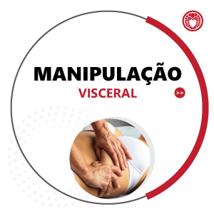 Manipulação Visceral Instituto HIshinuma